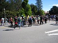 2011 Bay to Breakers Sunday 0730